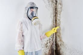 Mold Remediation for Vacation Homes in Baltimore, MD